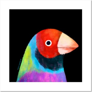 Gouldian Finch Bird Posters and Art